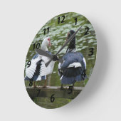 Muscovy Ducks zitten op een bankklok Ronde Klok (Hoek)