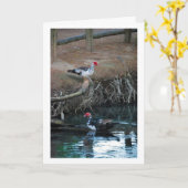 Muscovy-eenden Meer Portret Kaart (Gele Bloem)