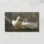 Muscovy Heaven Farms Visitekaartje (Achterkant)