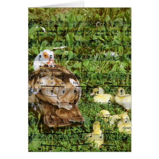 Muscovy Hen en Ducklings met doorsong (Voorkant)