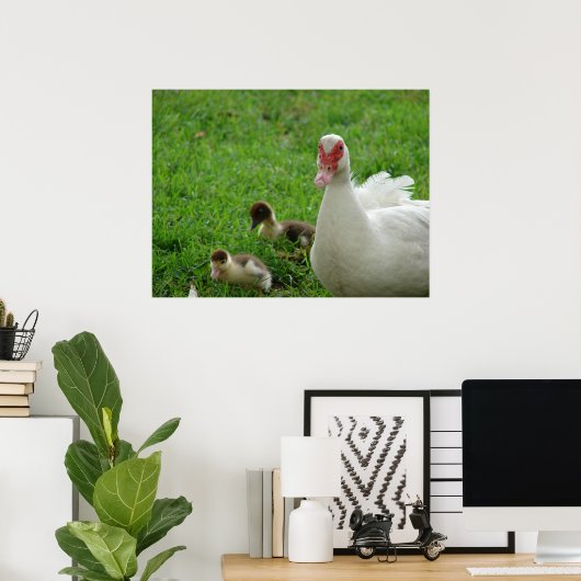 Muscovy Hen en Ducklings Poster (Thuiskantoor)