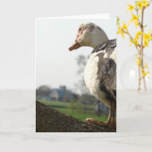 Muscovy Hen in een boom Kaart (Gele Bloem)