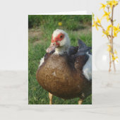 Muscovy Hen Kaart (Gele Bloem)