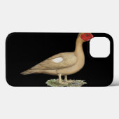 Muscovy Light Chocolate Drake Case-Mate iPhone Case (Achterkant (horizontaal))