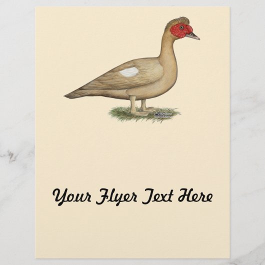 Muscovy Light Chocolate Drake Flyer (Voorkant)