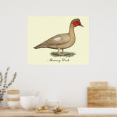 Muscovy Light Chocolate Drake Poster (Keuken)