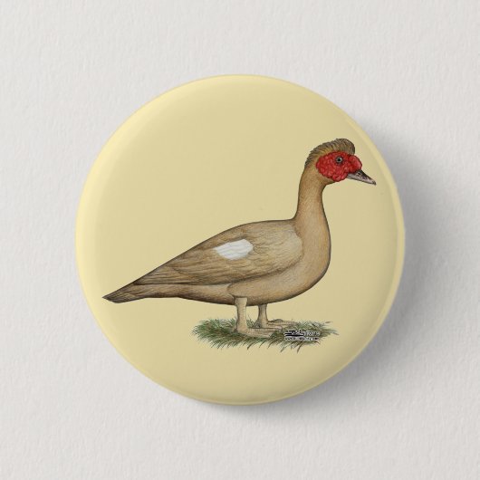 Muscovy Light Chocolate Drake Ronde Button 5,7 Cm (Voorkant)