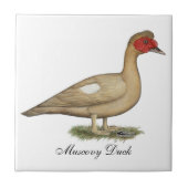 Muscovy Light Chocolate Drake Tegeltje (Voorkant)