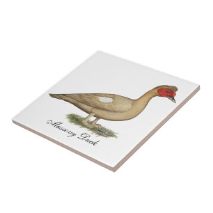 Muscovy Light Chocolate Drake Tegeltje