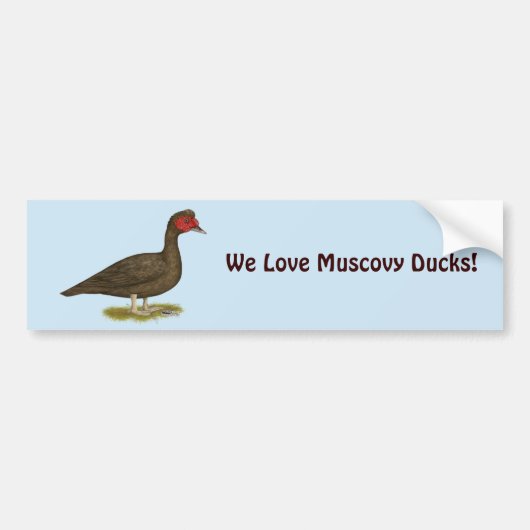 Muscovy Woerd Chocolade Bumpersticker (Voorkant)