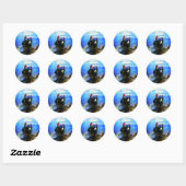 Muscovyeend sticker (Vel)