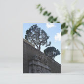 musei vatacani briefkaart (Staand voorkant)