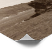 Museu de arte contemporanea2 poster (Hoek)