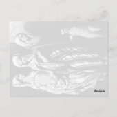  museum Istanbul Topkapi Briefkaart (Achterkant)