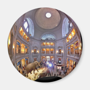 Museum voor Natuurgeschiedenis Magneet