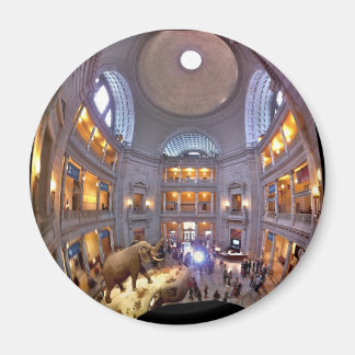 Museum voor Natuurgeschiedenis Magneet