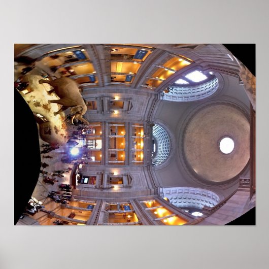 Museum voor Natuurgeschiedenis Poster (Voorkant)