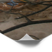 Museum voor Natuurhistorie Elephant Poster (Hoek)