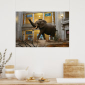 Museum voor Natuurhistorie Elephant Poster (Keuken)