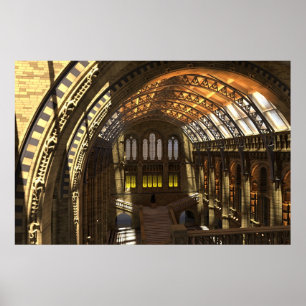 Museum voor Natuurhistorie Poster