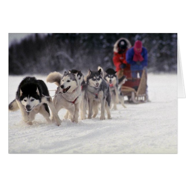 Mush (Voorkant Horizontaal)