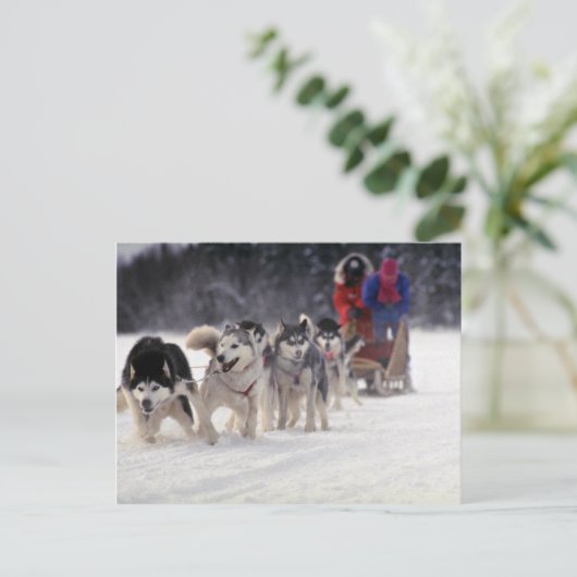 Mush Briefkaart (Staand voorkant)