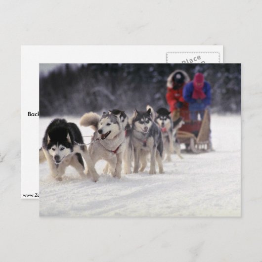 Mush Briefkaart (Voorkant / Achterkant)