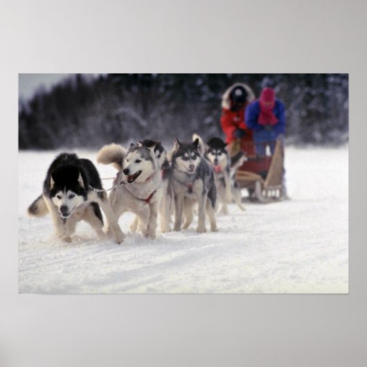 Mush Poster (Voorkant)