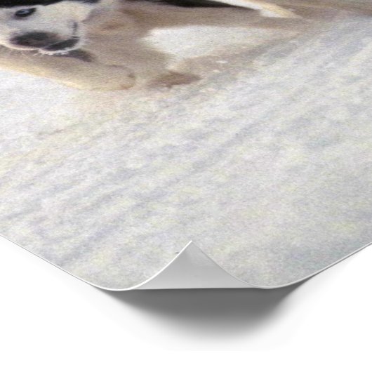 Mush Poster (Hoek)