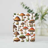 Mushroom Collectie Pattern Design Briefkaart (Staand voorkant)