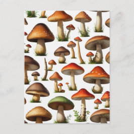 Mushroom Collectie Pattern Design Briefkaart