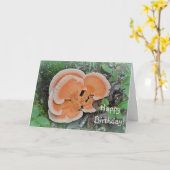 Mushroom Forager Birthday Kaart (Gele Bloem)
