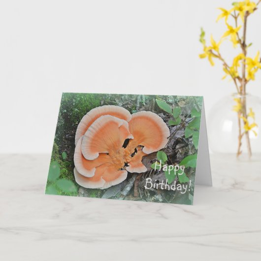 Mushroom Forager Birthday Kaart (Gele Bloem)