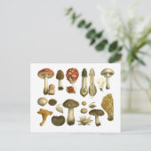Mushroom Fungus Fungi  Briefkaart (Staand voorkant)