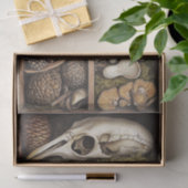 Mushroom Goblincore Witchy Natuur Decoupage Tissuepapier (Geschenk)