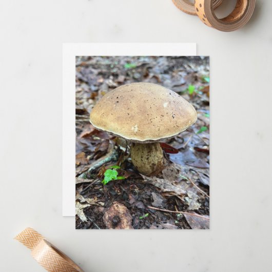 Mushroom Note Kaart Notitiekaartje (Voorkant / Achterkant in situ)