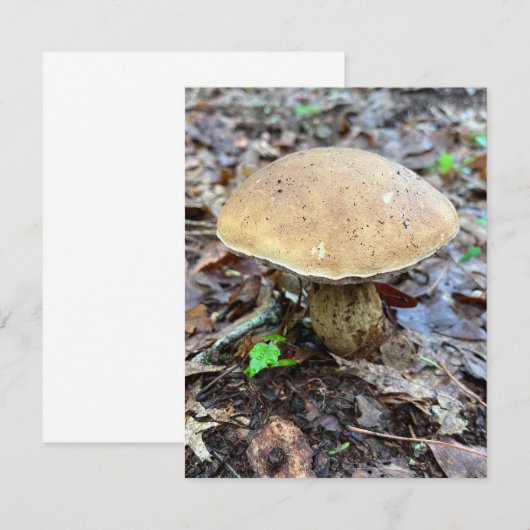 Mushroom Note Kaart Notitiekaartje (Voorkant / Achterkant)