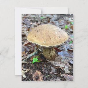 Mushroom Note Kaart Notitiekaartje