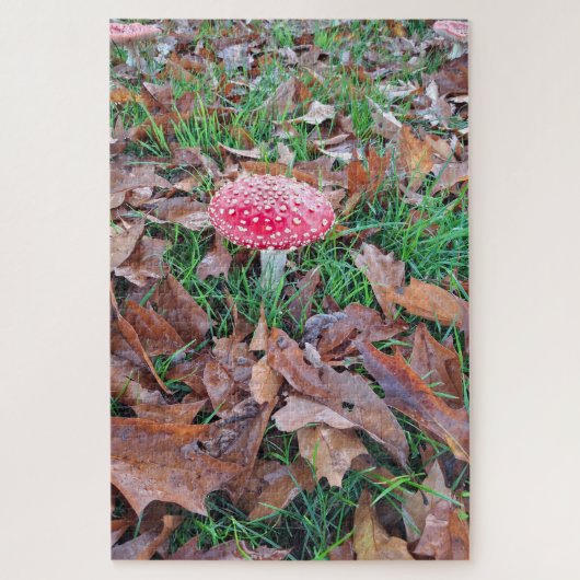 mushroom red with white dots legpuzzel (Verticaal)