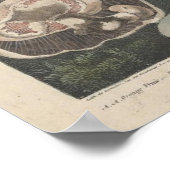  Mushroom Scientific Journal Art Poster (Hoek)
