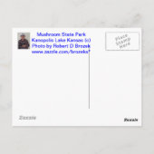 Mushroom State Park Kanopolis Lake POST CARD Briefkaart (Achterkant)