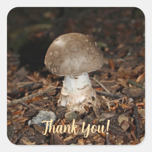 mushroom thank You Vierkante Sticker (Voorkant)