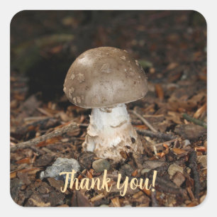 mushroom thank You Vierkante Sticker