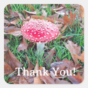mushroom vierkante sticker