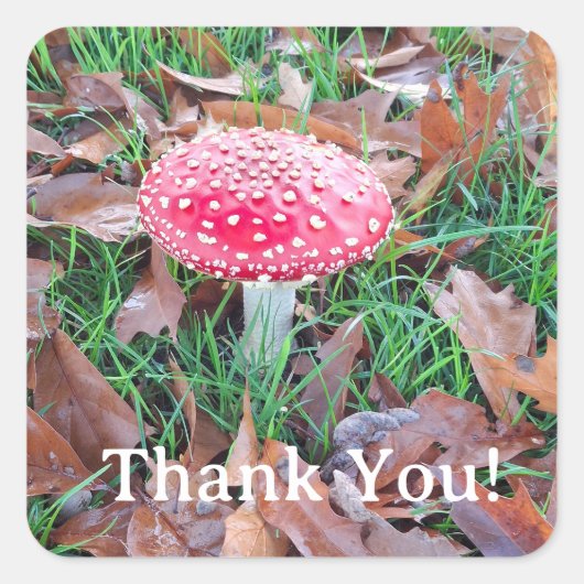 mushroom vierkante sticker (Voorkant)