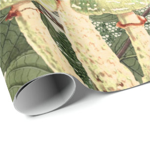 Mushroom Woodland Antiek Burlap Lace Cadeaupapier