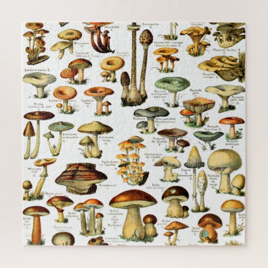 MUSHROOMMEN 4 LEGPUZZEL (Verticaal)