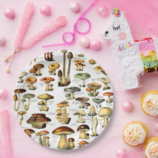 MUSHROOMMEN 4 PAPIEREN BORDJE (Feest)