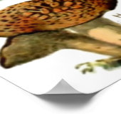 MUSHROOMMEN 4 POSTER (Hoek)