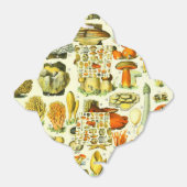 MUSHROOMS 2 BEDANKDOOSJES (Uitgevouwen)